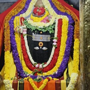 Shiva Shivu