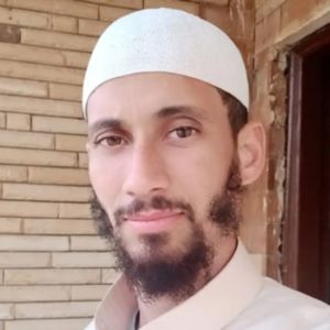 Mahmoud Elhawawshy