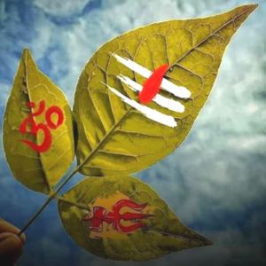 आकाश दीप यादव