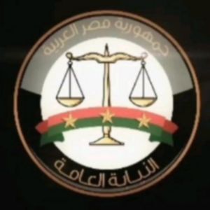 شخصيه قضائيه التزم الصمت وتجنب السرسره