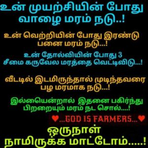 User