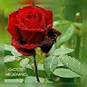 Mr Tarun