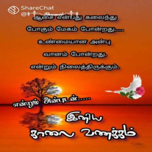 sbalaji balaji