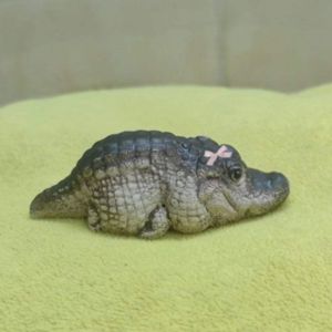 Kokodai Little Croc