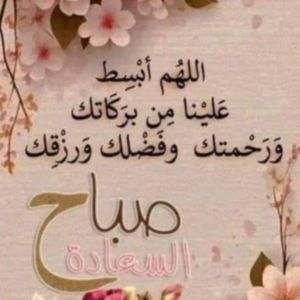 محمد محمد