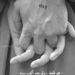 حسن الباشا