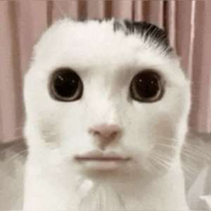 M M