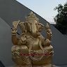 Golu Meena