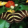 Raghavan Santhosh