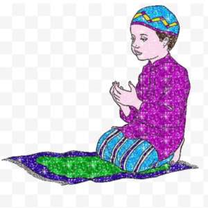 Mohammed abdul Zafar