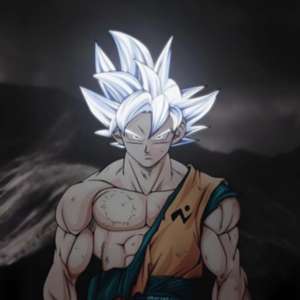 SON GOKU