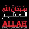 نجيب الزوي