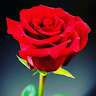 Vikrant Verma