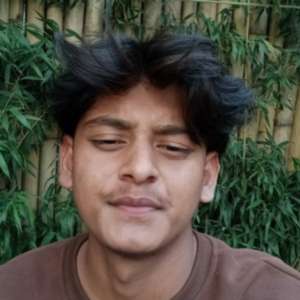 Dipesh Thakuree