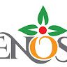 A.M.F-ENOS Sarl