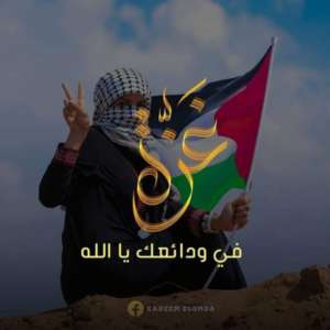 وزاره الداخليه وزاره الداخليه