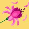 MDSHAKIL Hossen
