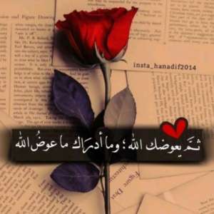 Shrooq Mohmd