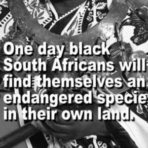 Rassie Mapholo