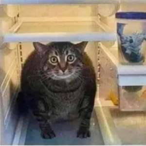 Михаил Фирсов