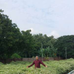 Parth Dave