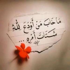 عزة حسن