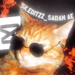 SADAN SIDDIQUE