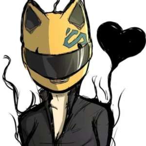 AA Aa