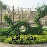 محمد ابراهيم