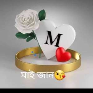 Mohibul khan linemistri katahbari guwahatl hi Line mistri katahbari