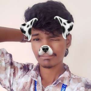 Dhanesh Kalamani