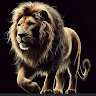 Kings Asland