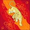 Zambia Wesu bonse