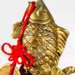 MPTC Shivannaguda Gopal