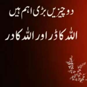 Abdul Waheed Khan
