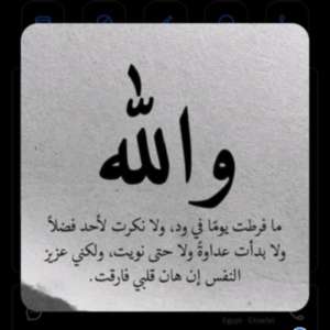 مدحت على