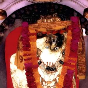 alok Priyadarshi