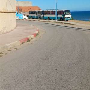 الجزائر الجزائر