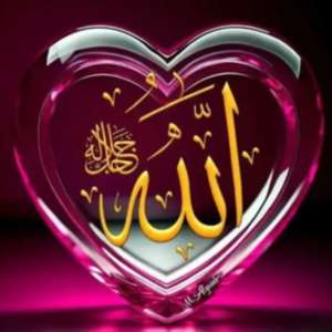 Mohd Shakil