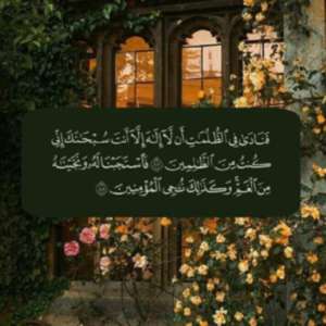 نور الهدى
