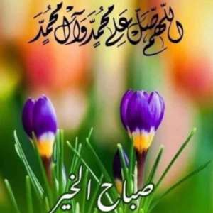 Zezo Hany