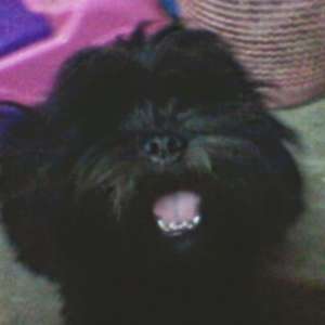 Carmen P