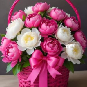 TABASSUM SAYED