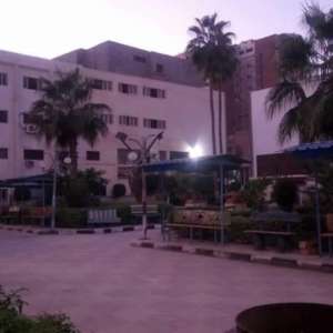 ahmed ahmed