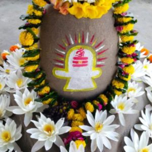 Rajeev Gaur