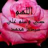 الوحش الملكي