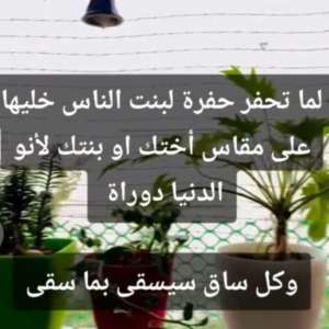 En Ahmed Said