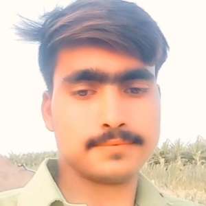 AFZAL AFZAL