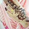 Sameena Shaik