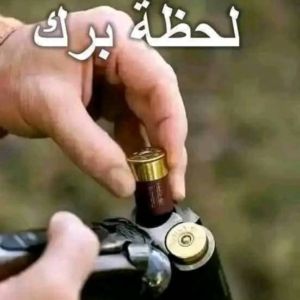 Guessar A ali